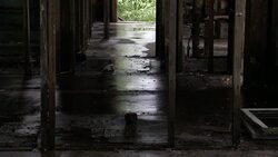 Water soaks the floor of a gutted out building damaged by Hurricane Katrina floods. Stock Footage