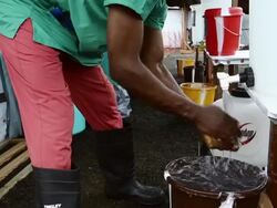 Ebola Case Management Facility ELWA 3 In Monrovia Stock Footage