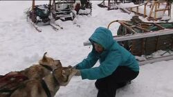 Dog sledding in Canada's winter wonderland News Clip
