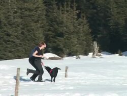 HD: Jogging In The Snow Stock Footage