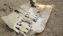 CLEAN : Two female bombers thwarted in north Cameroon: army News Clip