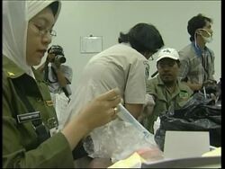 Zoo employees test for avian flu after 19 birds test positive for virus News Clip