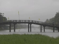 Pull bach shot raining fields kerala Stock Footage