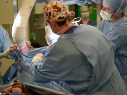 Veterinary Students In Training Stock Footage