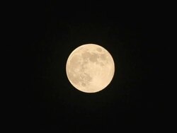 Full Moon Stock Footage
