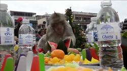 VOICED : El festin de los monos News Clip