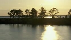 Alabama wetlands at sunset. Stock Footage
