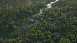 Narrow winding river near Mobile, Alabama. Stock Footage