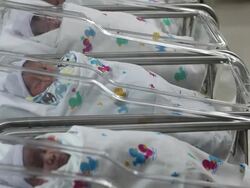 Newborn babies in a row in nursery Stock Footage