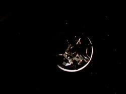 Earth view from Apollo 17 capsule Stock Footage
