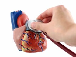 model of human heart Stock Footage