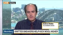 Knitted Sneakers Are Helping Kick Wool Higher News Clip