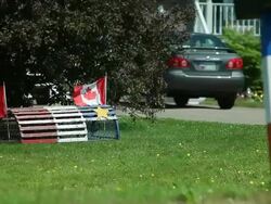 Cage lobster with color of Acadia Stock Footage