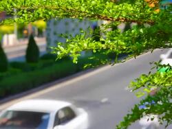 Green city Stock Footage