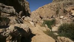 Traveling shot, En Prat Nature reserve, Wadi Qelt, running west to east across the Judaean Desert in the West Bank/ Steady Cam Shot Stock Footage