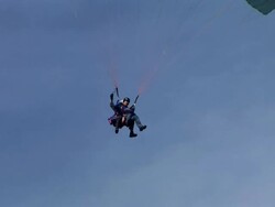 HD: Parachutists In The Sky Stock Footage