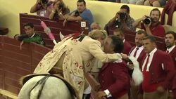 Bull fighting, a dangerous family business in Lisbon Instructional Video