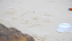 HD Dolly:Waste foam and water bottle dumped on beach. Stock Footage