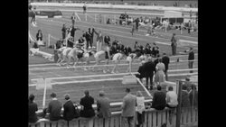 CAN563 OLYMPIC MILE WINNER BEATER IN LONDON RACE News Clip