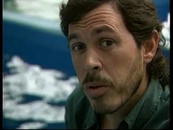 MEXICO: CAMPAIGN FOR RELEASE OF BELUGA WHALES FROM FUN PARK News Clip