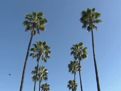 Universal Studios Hollywood News Clip