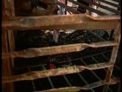 Six injured as suspectd Maoist rebels strike capital News Clip