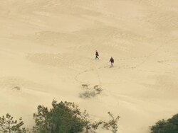 MS AERIAL ZO Shot of Two dogs and people on Jockey's Ridge State Park with houses on beach / North Carolina, United States Stock Footage