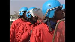 Red Ants Dismantle Townships near Johannesburg News Clip