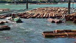 Logging Industry Squamish Stock Footage