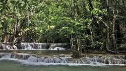 Forest waterfall Stock Footage