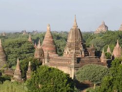 WS HA Shot of Ancient temples at Pagodas field / Bagan, Mandalay Division, Myanmar Stock Footage
