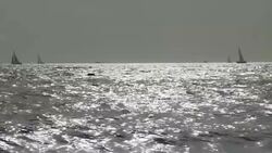 Sailboat Racing Stock Footage