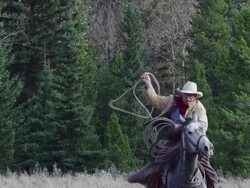 Cowboy galloping on horseback Swinging lariat Stock Footage