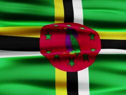 Commonwealth of Dominica Flag Stock Footage