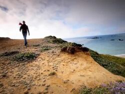 WS SLO MO POV View of young man walking on trail by ocean / Cape Blanco State Park, Oregon, United States Stock Footage