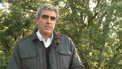 VOICED : Arqueros en Madrid ahuyentan a jabalies de las zonas urbanas News Clip