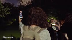 This Bat Locator App Will Make You a Citizen Scientist News Clip