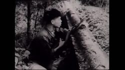 Vietnamese veterans mark 50th anniversary of the Tet offensive News Clip