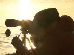 Volunteers and charity workers on a beach in Lesbos, where migrants often arrive after crossing from Turkey News Clip