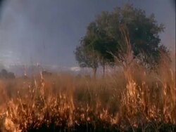 WA burning grassland, Tanzania Stock Footage