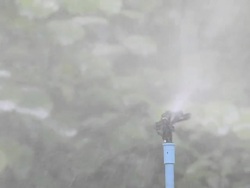 Spray Stock Footage