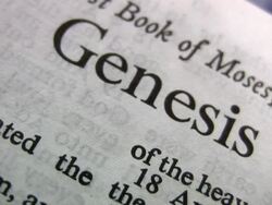 HD 1080i Genesis 2 Stock Footage