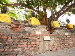 Old Buddha Statues at Historical Park of Ayutthaya, Thailand Stock Footage