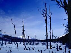 timelapse valle de lobos ushuaia Stock Footage