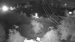 Spider Building Web Network at Night Stock Footage