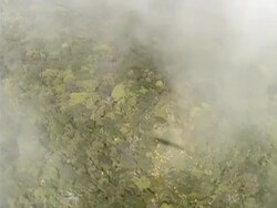 Remote Helicopter Stock Footage