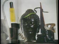 THAILAND: BANGKOK: CLINIQUE ADVERT OFFENDS BUDDHISTS News Clip