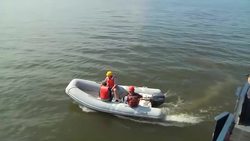 Climate Change And Other Threats To Worlds Freshwater Goliath's Instructional Video