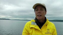 Over 12,000 crab pots are lost in Washington state's Puget Sound every year, costing an estimated $700,000 in lost in harvest revenue, and more poignantly, damaging the sea floor environment. (Sept. 5) Instructional Video