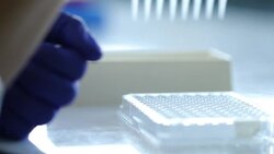 Scientist transfer mix small volume liquids within 96 well dishes, Slow motion Stock Footage